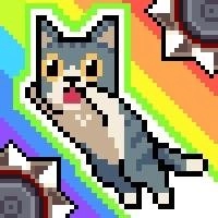 Cat Jump