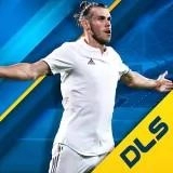 Dream League Soccer 2019 [Много денег]