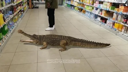 Скриншот 2